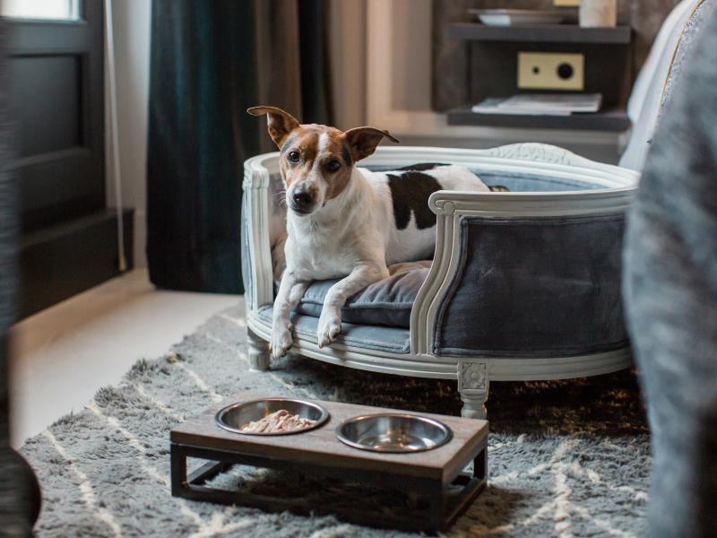 Nolinski Paris Nolinski Paris's photo